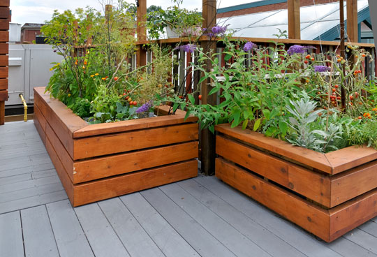 Build A Raised Garden Bed - Landscapers - Seva Call Blog