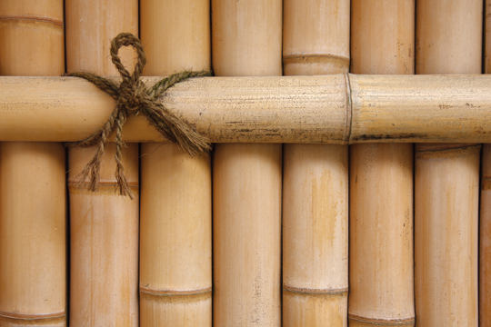 How to Install Bamboo Fencing Rolls - Landscapers - Talk Local Blog